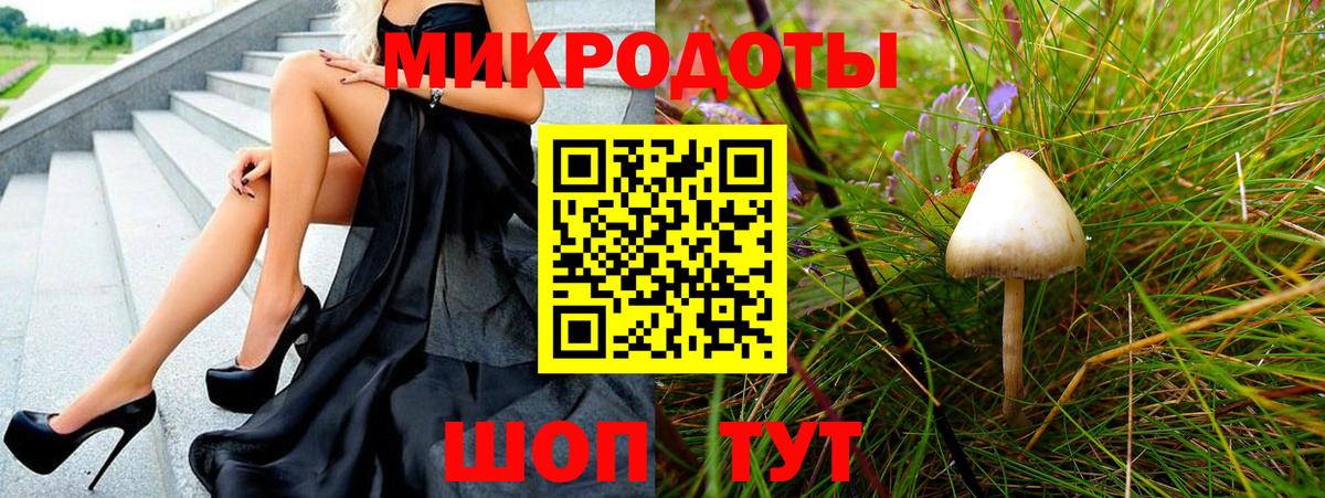 Галлюциногенные грибы Psilocybine cubensis  Вход с VPN  Калач-на-Дону 